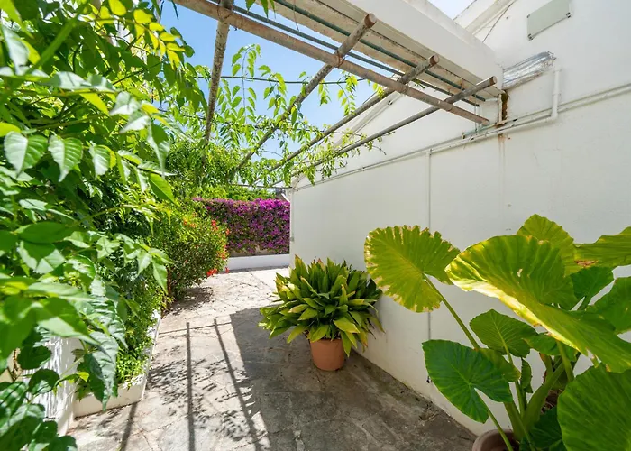 Casa Morant In Front Of The Sea *